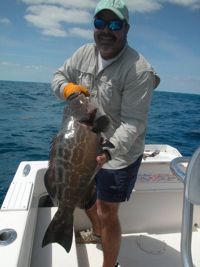 Black Grouper before release 4/3/10