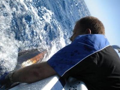 Black Marlin Released