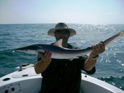 Small Black tip Shark on Light Tackle