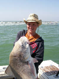 Blackdrum