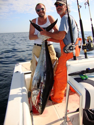 Bluefin Tuna