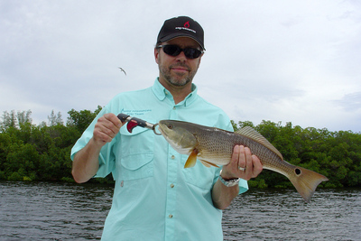 Good day catching redfish and snook