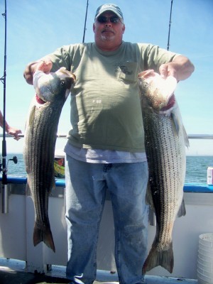 Big Bobs pool fish