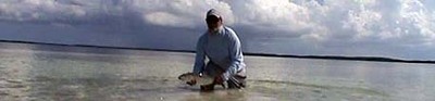 Wade fishing for bonefish