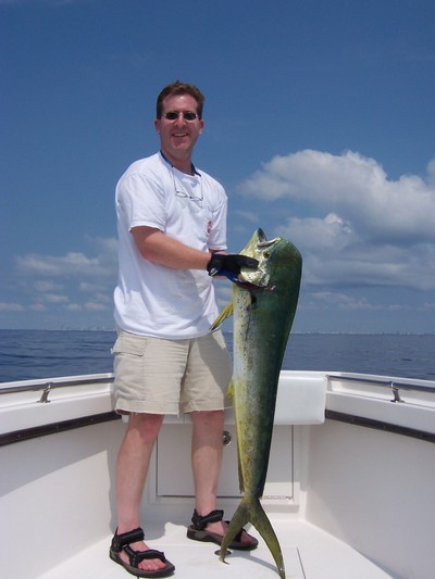 Brad & 16.5# Dolphin