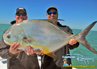 Permit caught on a Captain Rapps fishing Charter from Chokoloskee / Everglades City FL