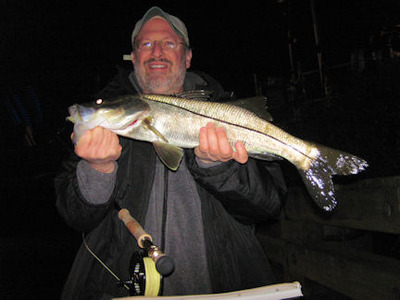 Bruce Marlowe Blackburn Bay Grassett Snook Minnow fly snook