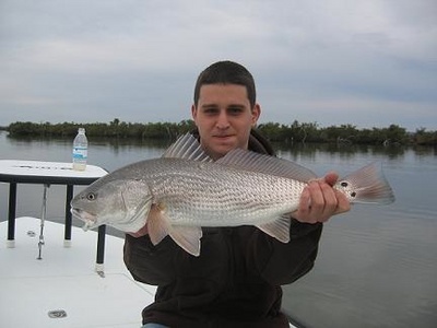 Nice North End Mosquito Lagoon Redfish!
