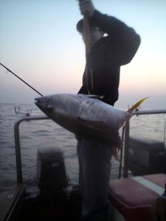 The 7.14kg head of a Yellowfin Tuna after a Shark took his share