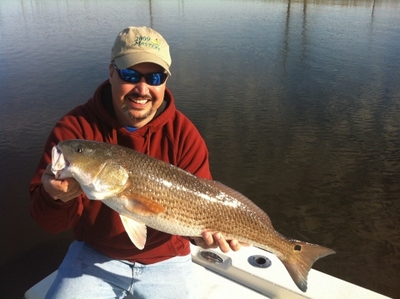 Cape Fear Redfish