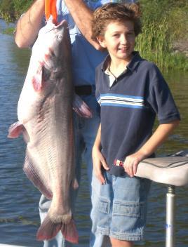 Trophy Catfish Lake Chickamauga