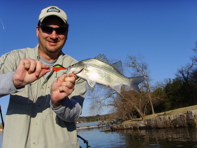 White Bass-Lake LBJ w/guide Chris Caka