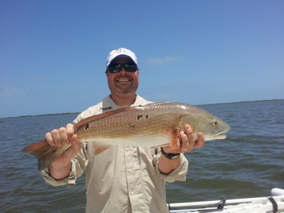 Red Drum on Island Banks