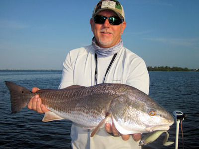 Capt. Andy Cotton Sarasota Bay DOA Airhead red
