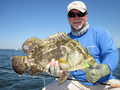 Capt. Rick Grassett Sarasota fly tripletail