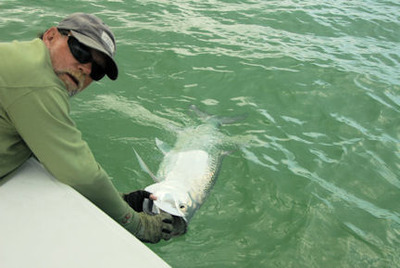 Capt. Rick Grassett Sarasota fly tarpon