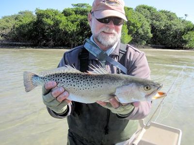 Capt. Rick Grassett waded a Sarasota Bay flat and caught and released this trout on a Grassett Flats Bunny fly.