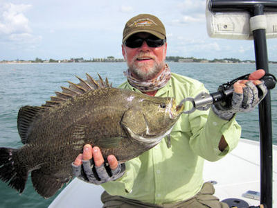 Capt. Rick Grassett Sarasota Grassett Flats Minnow fly tripletail