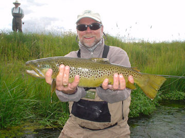 Capt. Rick's Stone Creek fly brown trout