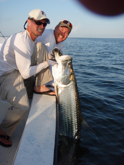 Tarpon Action!