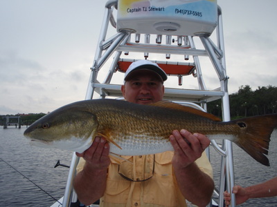Bull Redfish