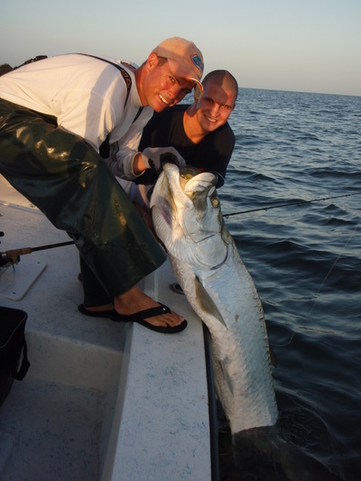 Tarpon Action!