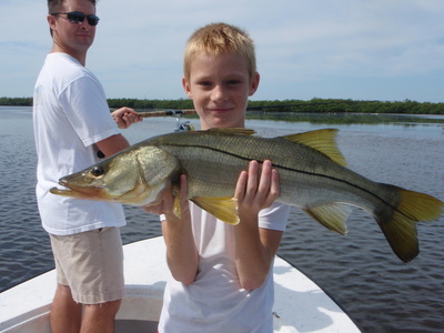 SNOOK BACK IN SEASON!