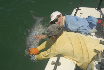 Christopher Notari Sarasota Tarpon