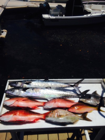 Jupiter Fishing Charters