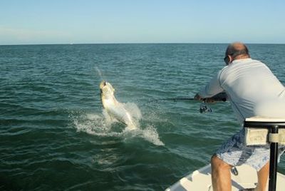 Cliff Ondercin, from Sarasota, FL , jumps a tarpon caught and released on a live bait in the coastal gulf in Sarasota while fishing with Capt. Rick Grassett.