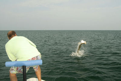 Cliff Ondercin's Sarasota tarpon jump caught with Capt. Rick Grassett.