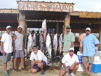 Seven Nice Yellowfin