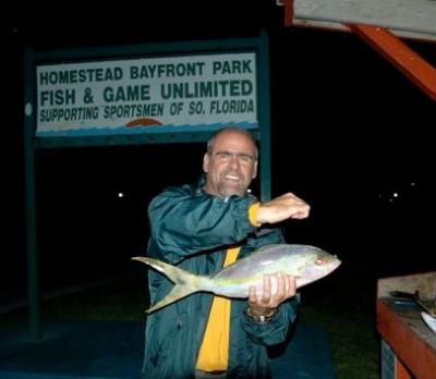 Big Flag Yellowtail Snapper
