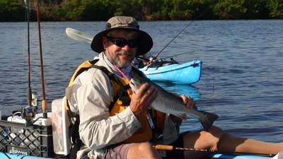 Redfish from Tampa Bay