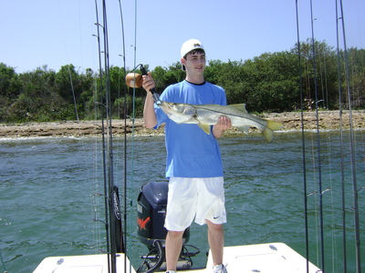 nice snook in tampa bay