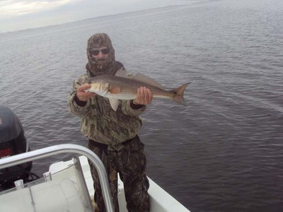 26in red Pensacola's upper bays