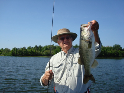 Summer time with a junebug lizard