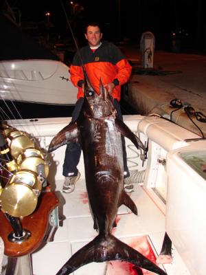 Liquid Gold Swordfish!