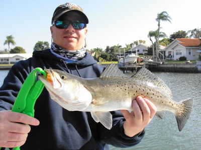 Canal trout... caught on a Flats Class Charter