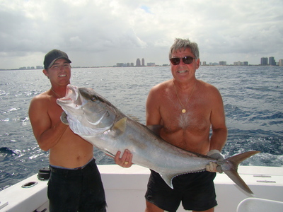 Big amberjacks around the Fort Lauderdale wrecks