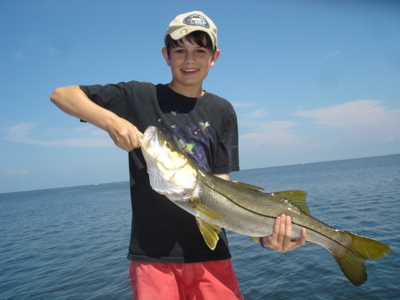 Tampa Bay Snook