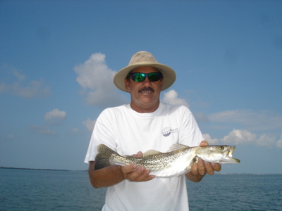 Tampa Bay Trout