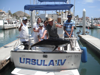 Yellowfin Tuna 224 LBS