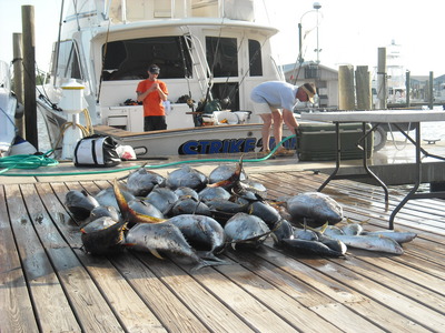 Capt. Kevin did it again