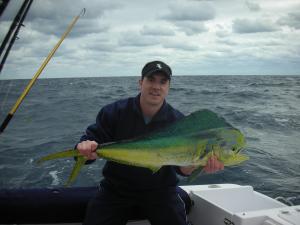 Nice Mahi