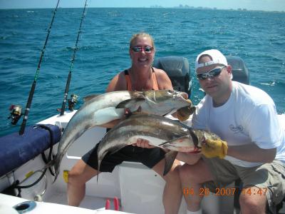 A nice pair of Cobias'