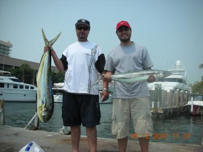 Mahi- Kingfish action