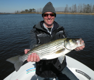 Cape Fear Striped Bass