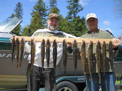 5-16-2012 walleye catch