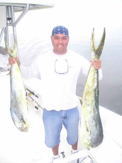 Rey Rivera with Cow and Bull